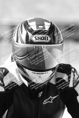 media/Mar-08-2025-TrackXperience (Sat) [[277b597a28]]/1-Around the Pits - Pre Grid/